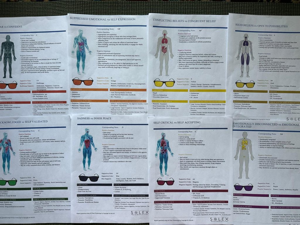 Shot of 8 of the 12 note pages